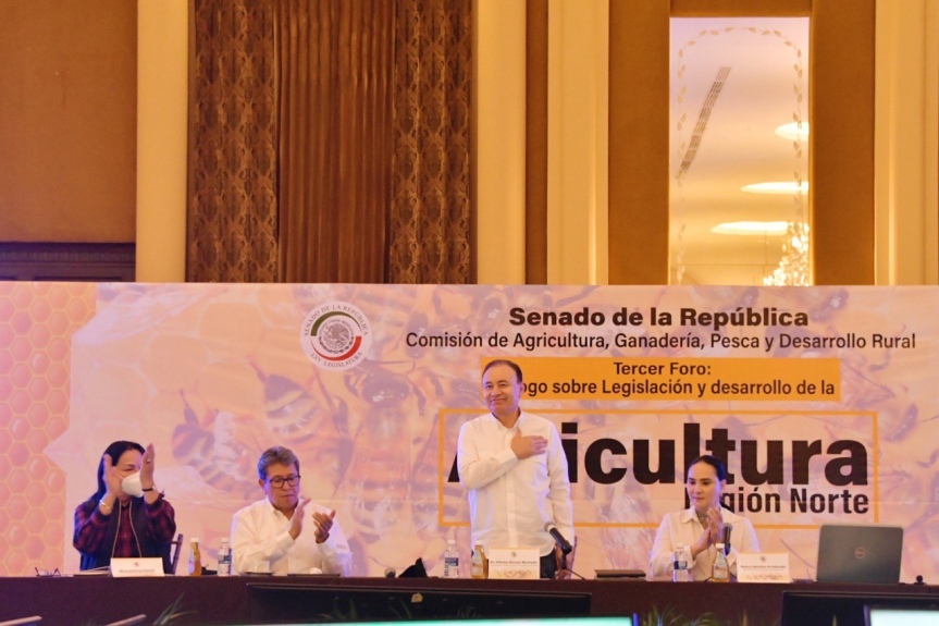Celebramos la disposición del Senado de dar voz a las y los sonorenses: gobernador Alfonso Durazo