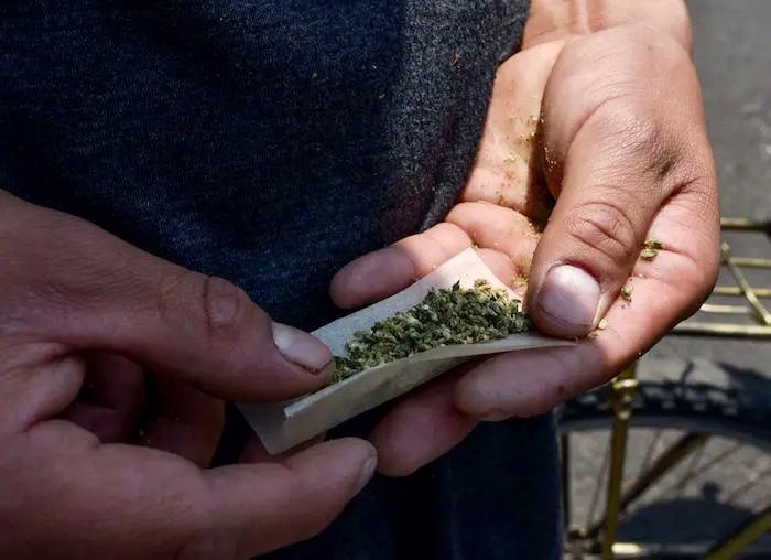 La despenalización de la cannabis se queda estancada en el Senado a falta de consenso